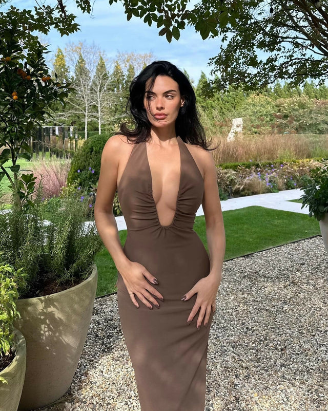 Misha Alusia Maxi Dress - Brown
