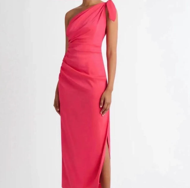 Sheike Kennedy Dress - Raspberry