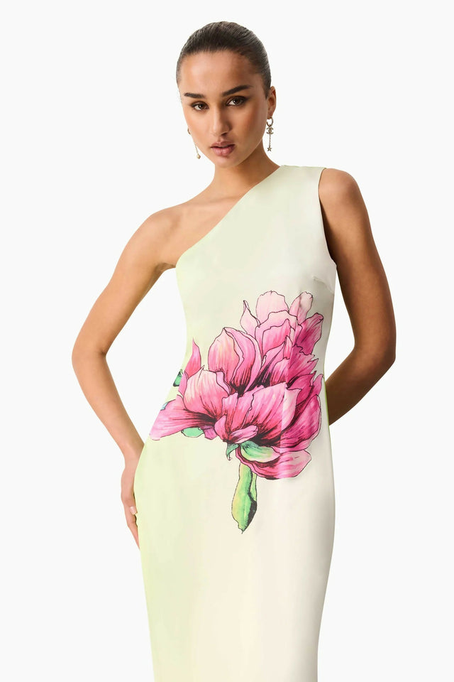 Elliatt Elisia One Shoulder Gown