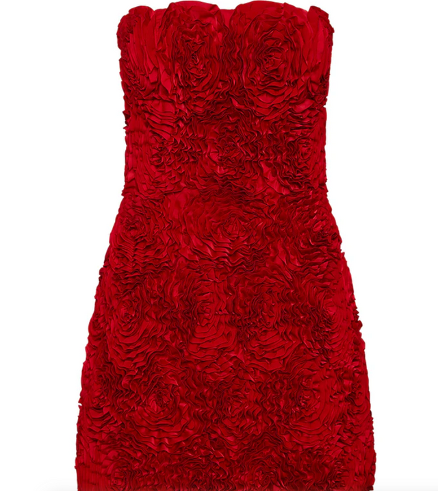 Gazer Rosette Mini Dress Size 6