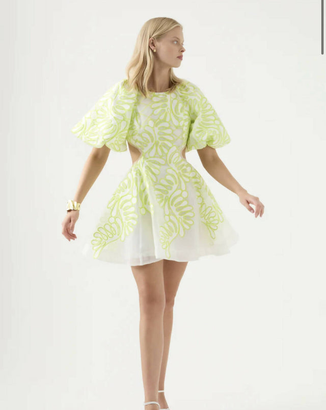 Aje Appliqué Botanical Mini Dress - 6 / Multi - Dresses