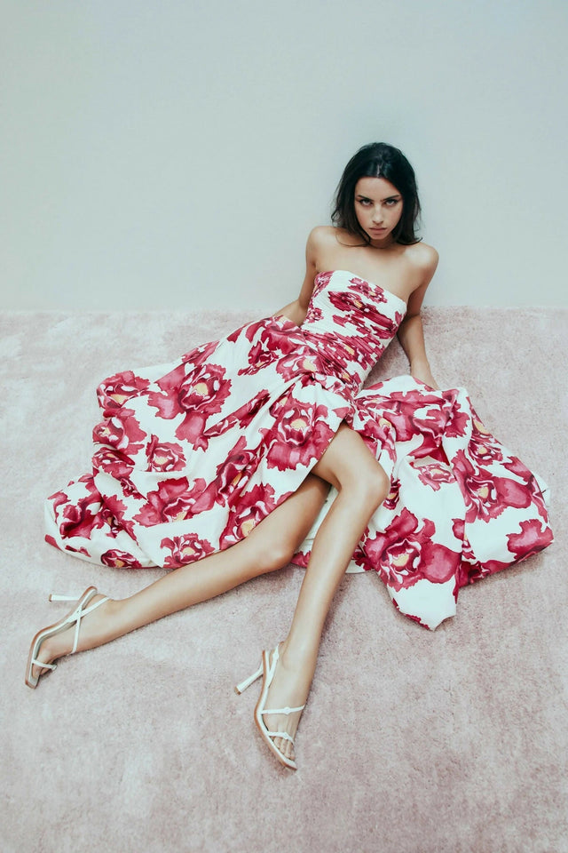Aje Behold Maxi Dress - 6 / Print - Dresses