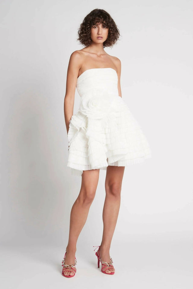 Curated Collection - Aje Expressive Mini Dress