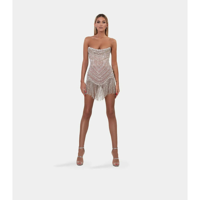 Albina Dyla Wild Silver/Nude Corset Dress - 6 / Silver - Dresses