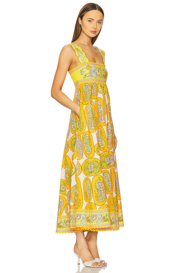 imgi_85_AMAI-WD35_V2