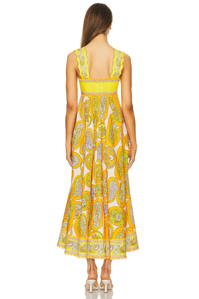 imgi_87_AMAI-WD35_V3