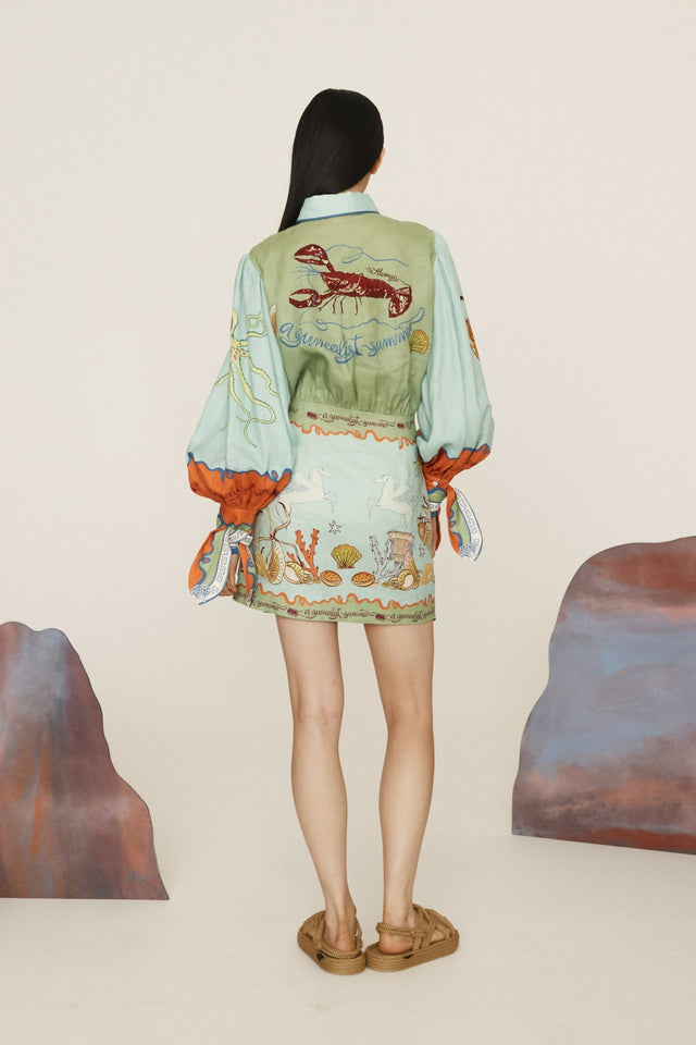 SurrealistSummerMiniShirtdress4