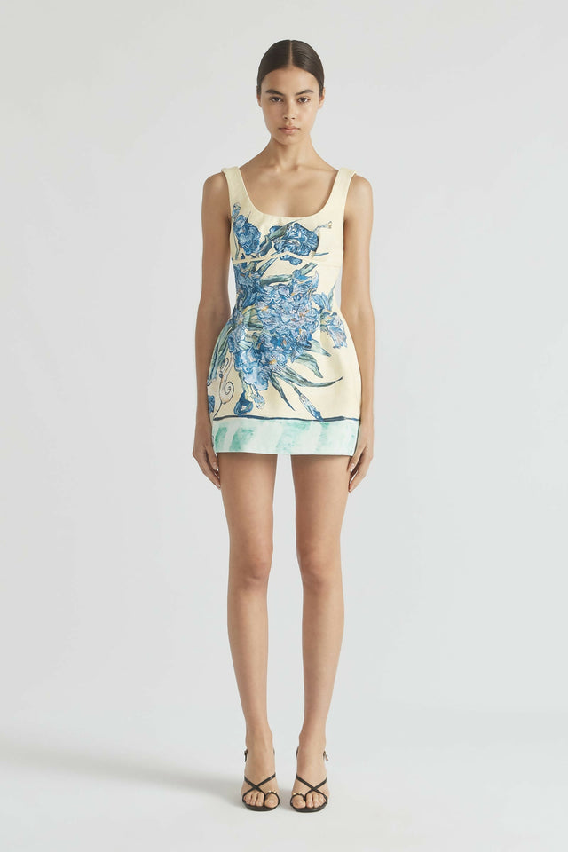 Antipodean Homecoming Lantern Mini Dress - 12 / Print - Dresses