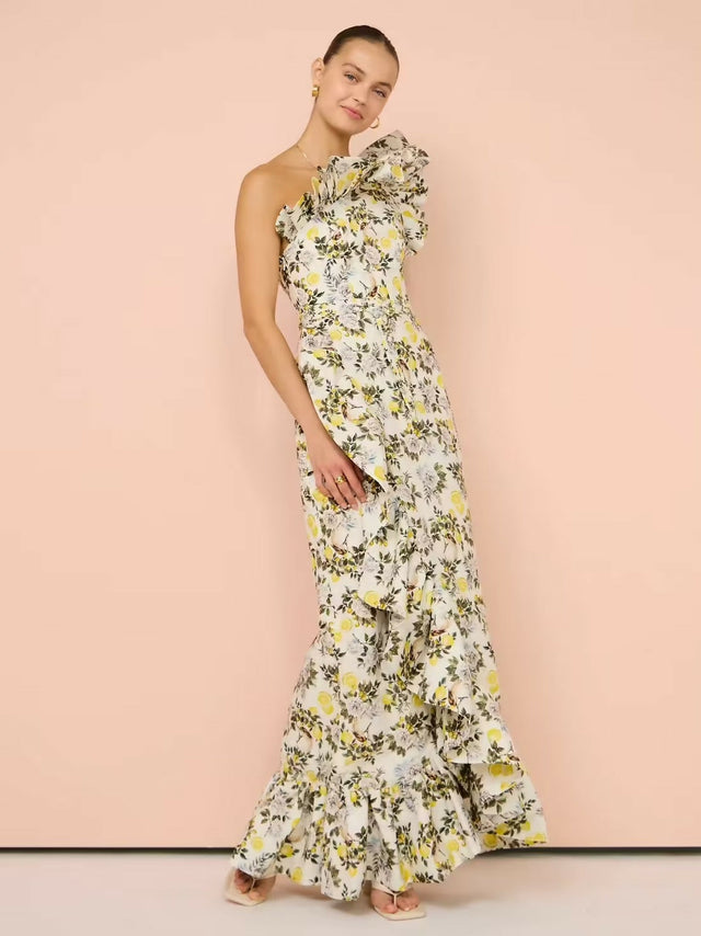 Aqua Blu Giselle Maxi Dress In Clementine Print Size 8 10 - Dresses