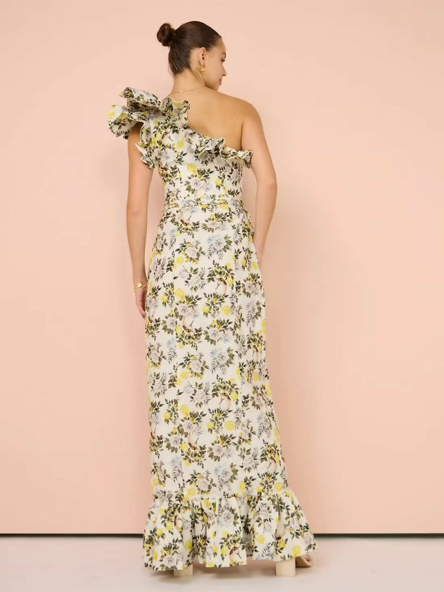 Aqua Blu Giselle Maxi Dress In Clementine Print Size 8 10 - Dresses