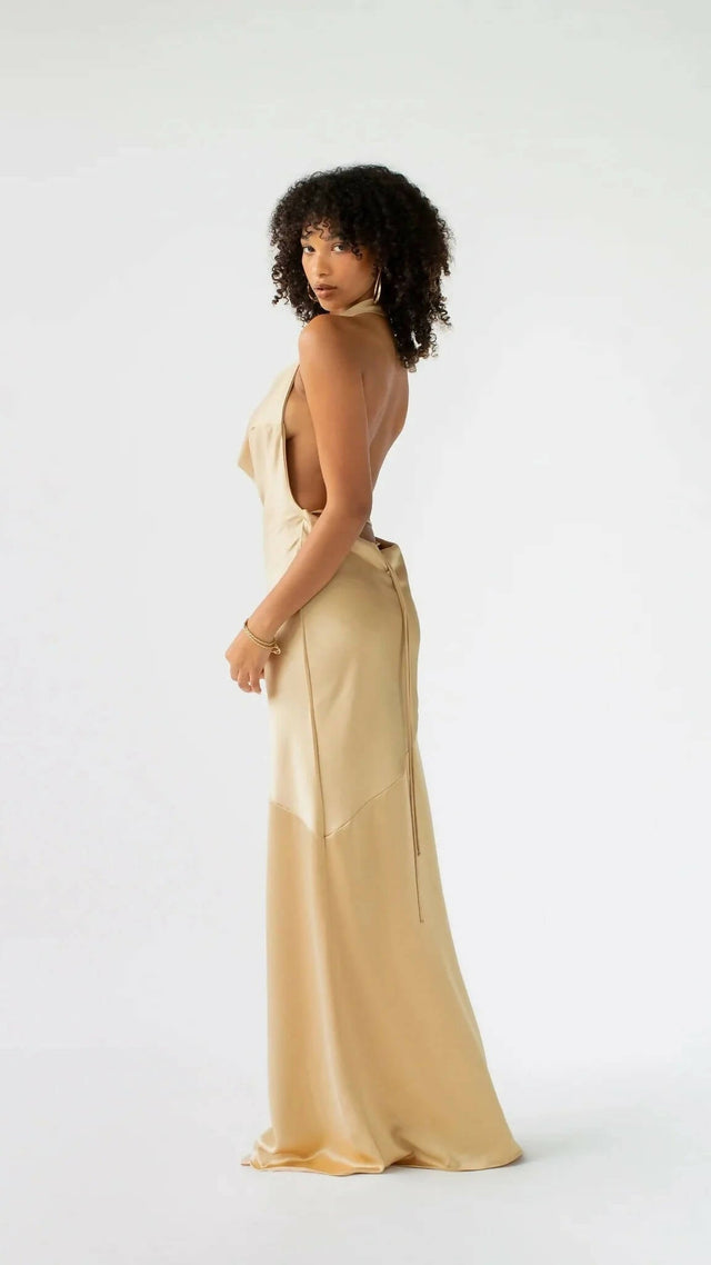 Arcina Ori Daniella Silk Maxi Dress in Gold - 8 / Gold - Dresses