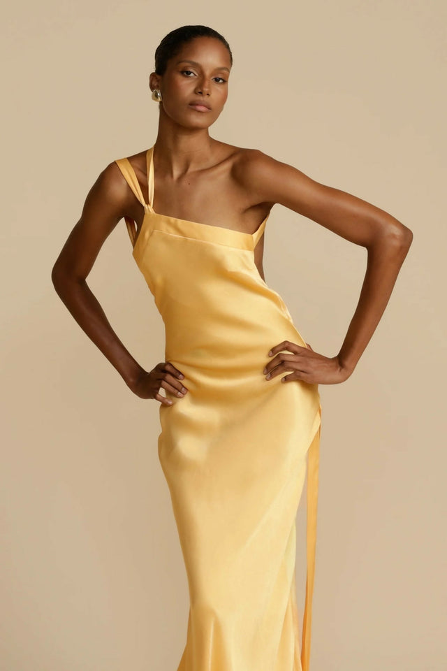 ArcinaoriMoniqueDress3