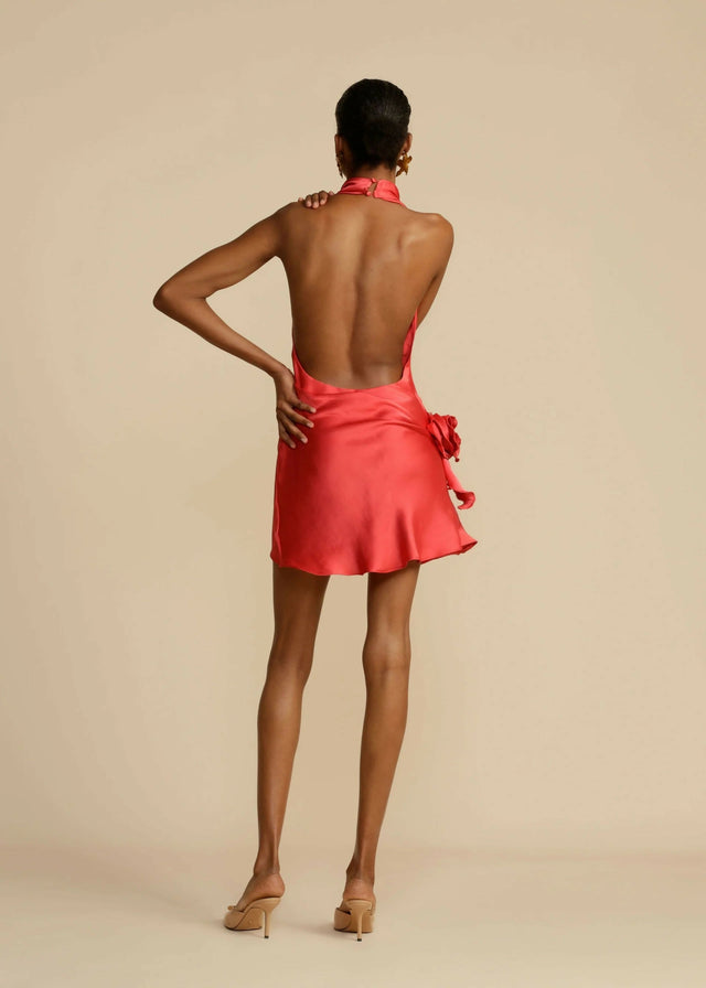 Arcina Ori Rosa Mini Dress - Dresses