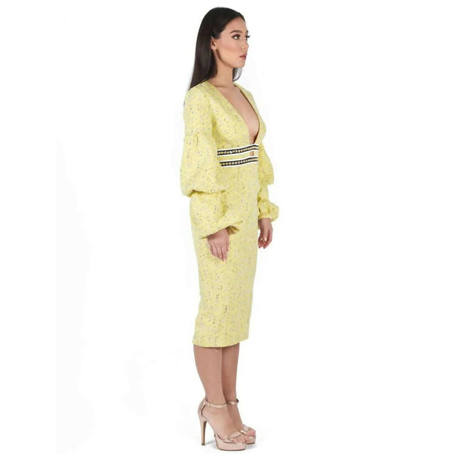 asilio-the-other-woman-dress-side_481450ab-7f1d-4aaf-a58f-dc2954d14346