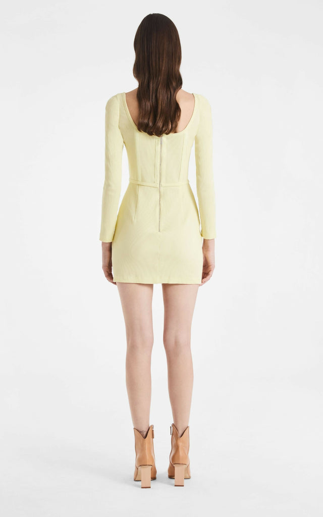dionleecorsetminilemon3