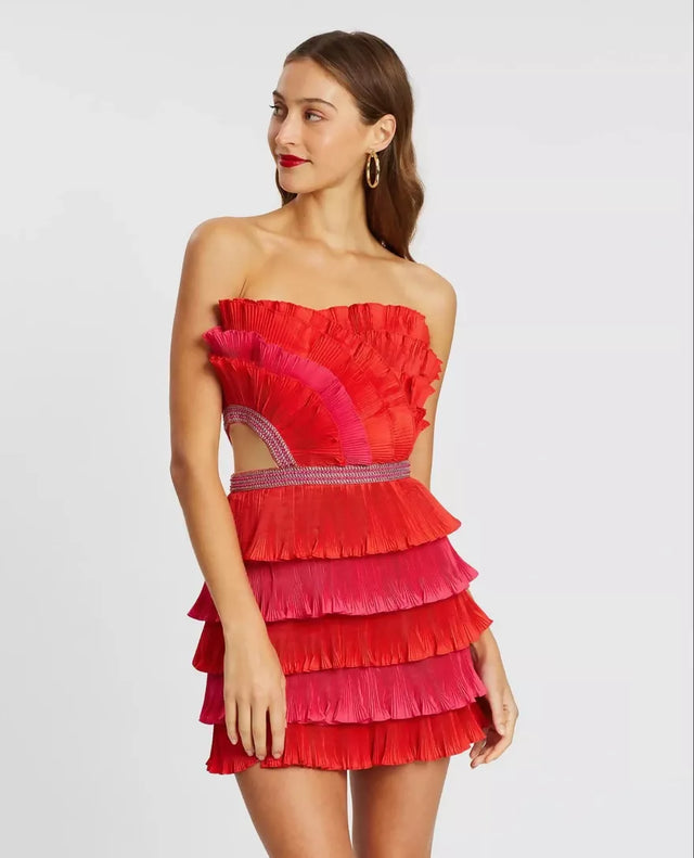 Eliya the Label Maryanne Mini Dress Red and Pink - 6 / Red - Dresses