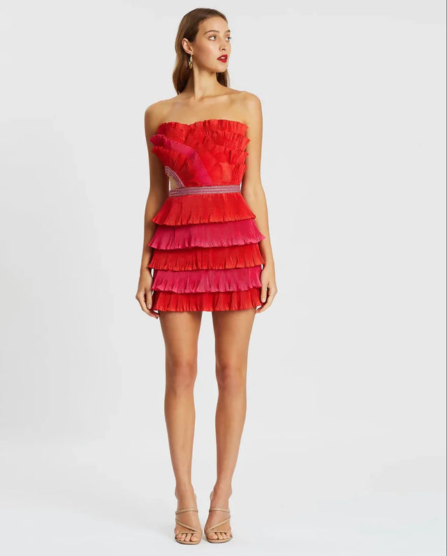 Eliya the Label Maryanne Mini Dress Red and Pink - 6 / Red - Dresses