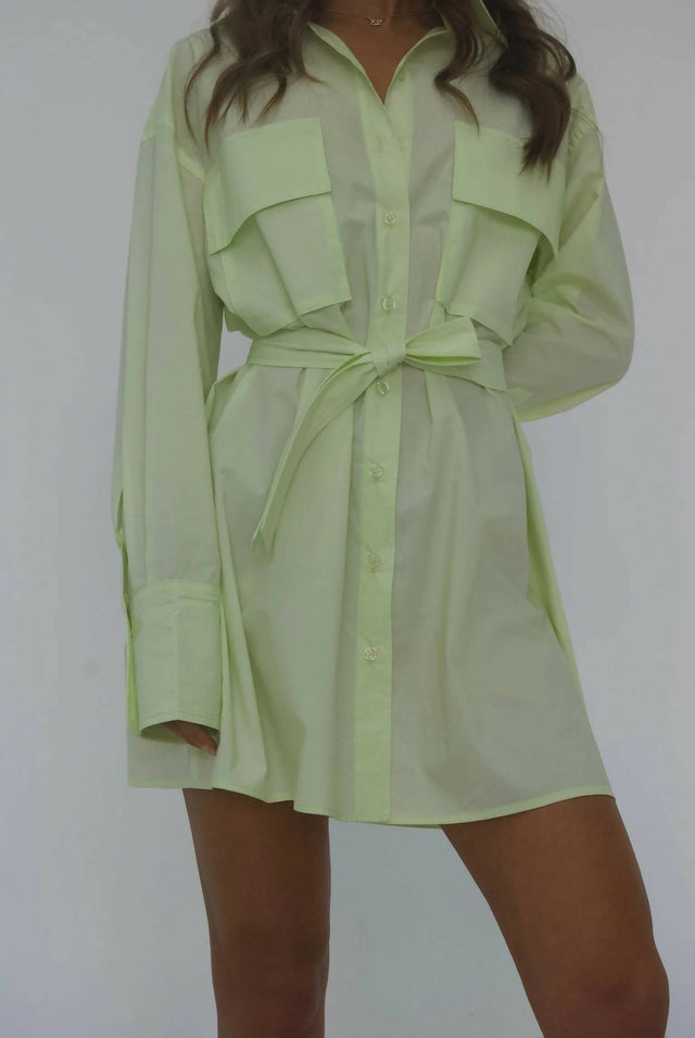 Esme Resort Ellison Belted Shirt Dress - Dresses