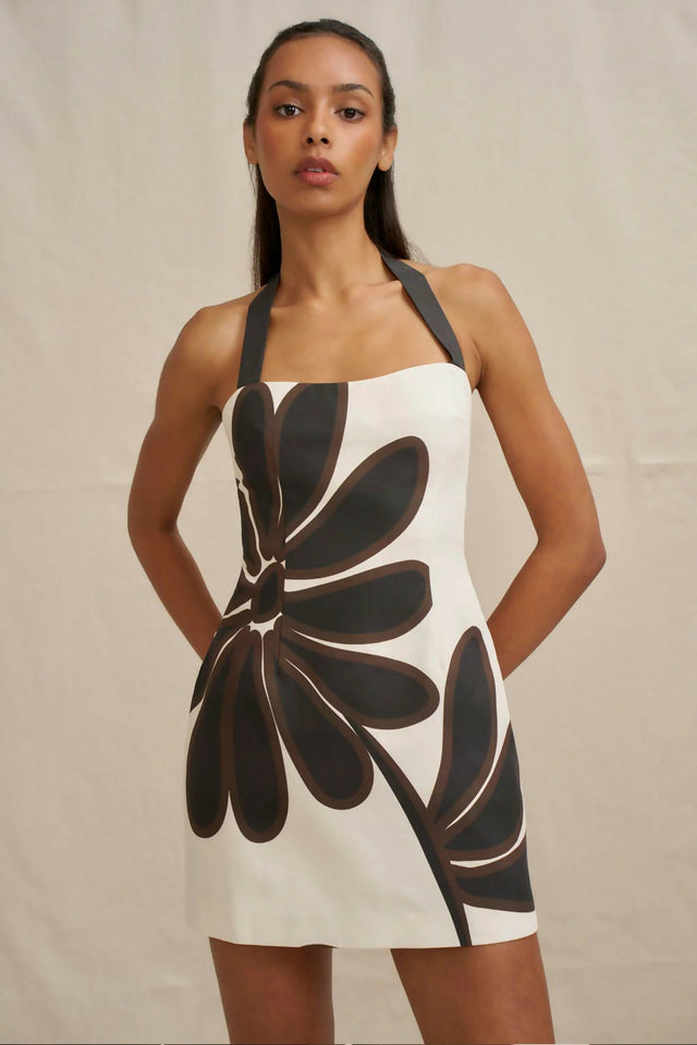 By Johnny Gerbera Mini