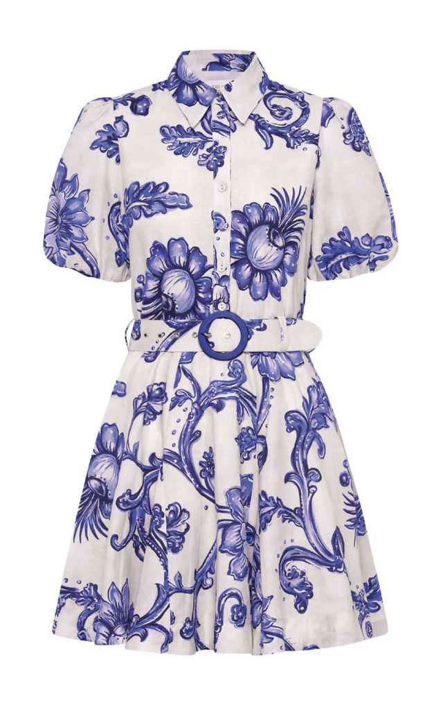 KateFordBartleyGodetShirtDress6