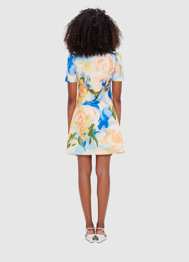 LLPF24027_Brooke-Mini-Dress_Bouquet-Print_3_051
