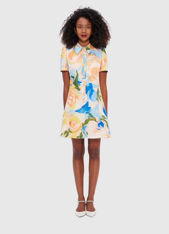 LLPF24027_Brooke-Mini-Dress_Bouquet-Print_1_041