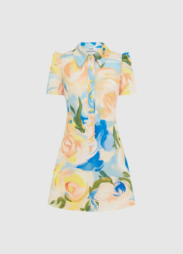 LLPF24027_Brooke-Mini-Dress_Bouquet-Print