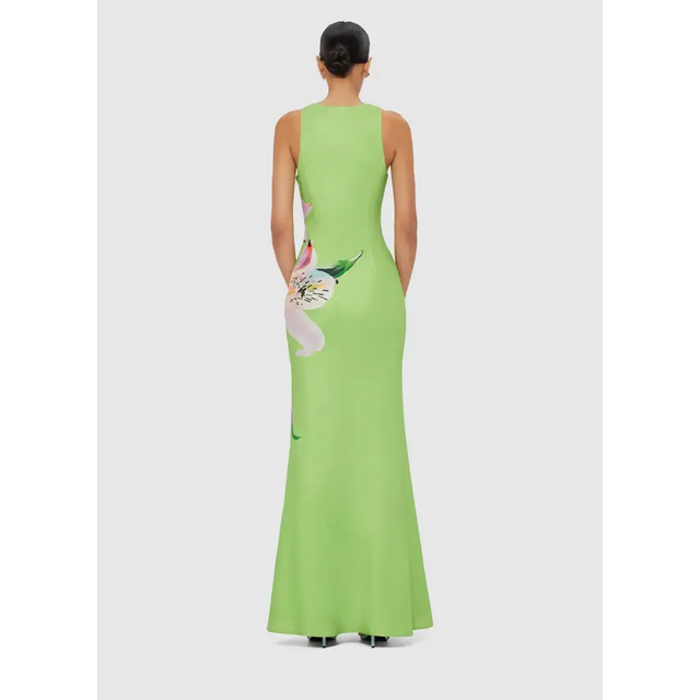 LLPF25062_HelenaMaxiDress-LilyPrintinParakeet_3