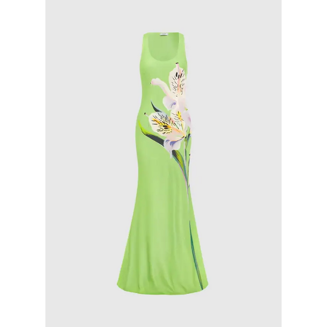 LLPF25062_HelenaMaxiDress-LilyPrintinParakeet