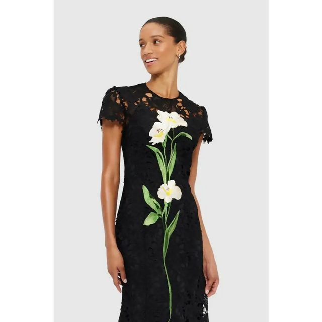 Leo Lin Monique Embroidered Lace Maxi Dress Black Size 8 - 8 / Black - Dresses