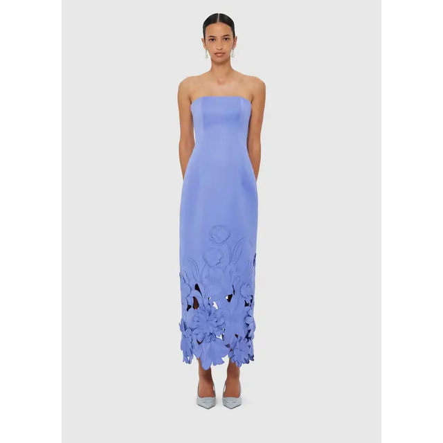 LLPF25072_Rayna_Applieque_Bustier_Maxi_Dress_-_Moonlight_1