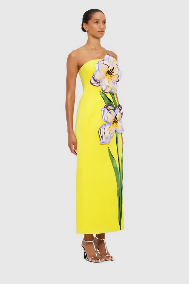 LLSS250362_Rayna-Applique-Floral-Bustier-Maxi-Dress_Iris-Print_2