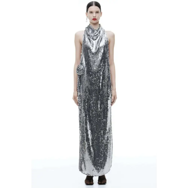 Magda Butrym x H&M Sequin Rose Appliqué Maxi Dress - Dresses