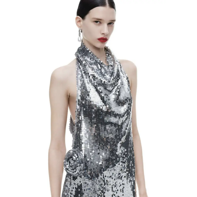 Magda Butrym x H&M Sequin Rose Appliqué Maxi Dress - Dresses