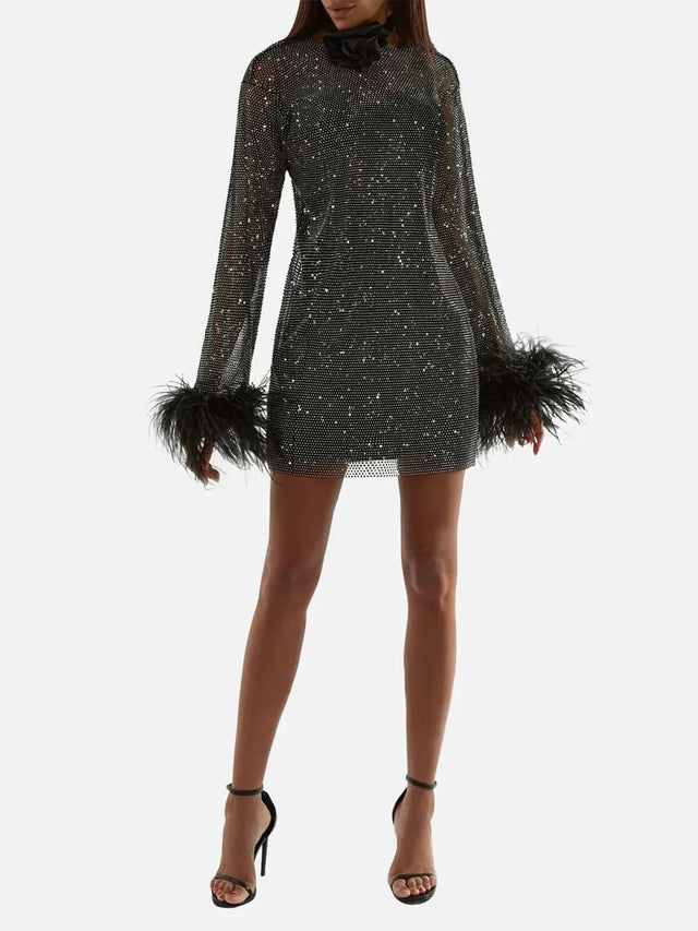 Passion For Fashion Mesh Diamond Feather Mini Dress Dress.