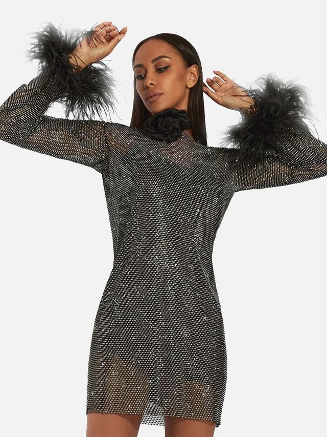 Passion For Fashion Mesh Diamond Feather Mini Dress Dress.