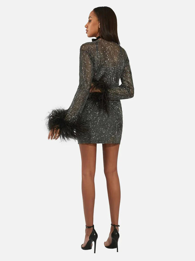 Passion For Fashion Mesh Diamond Feather Mini Dress Dress.