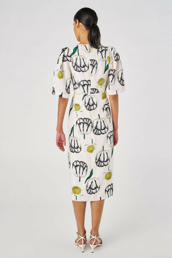 OrotonSpringTulipMidi3