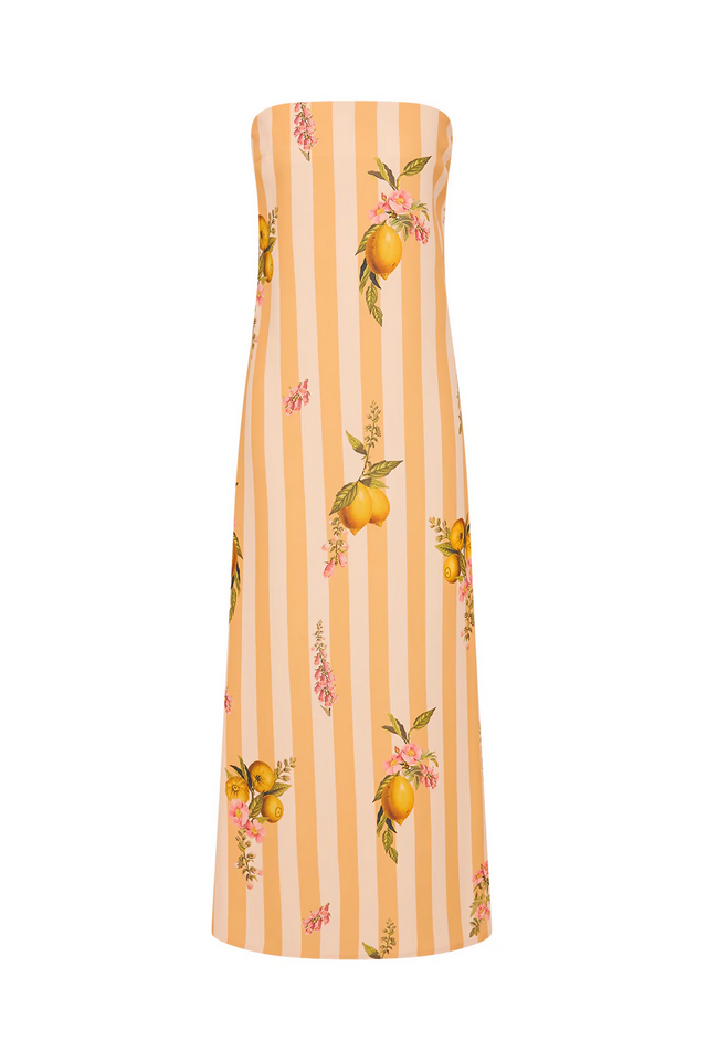 Palm Noosa Alessia Dress Citrus Stripe - 12 / Print - Dresses