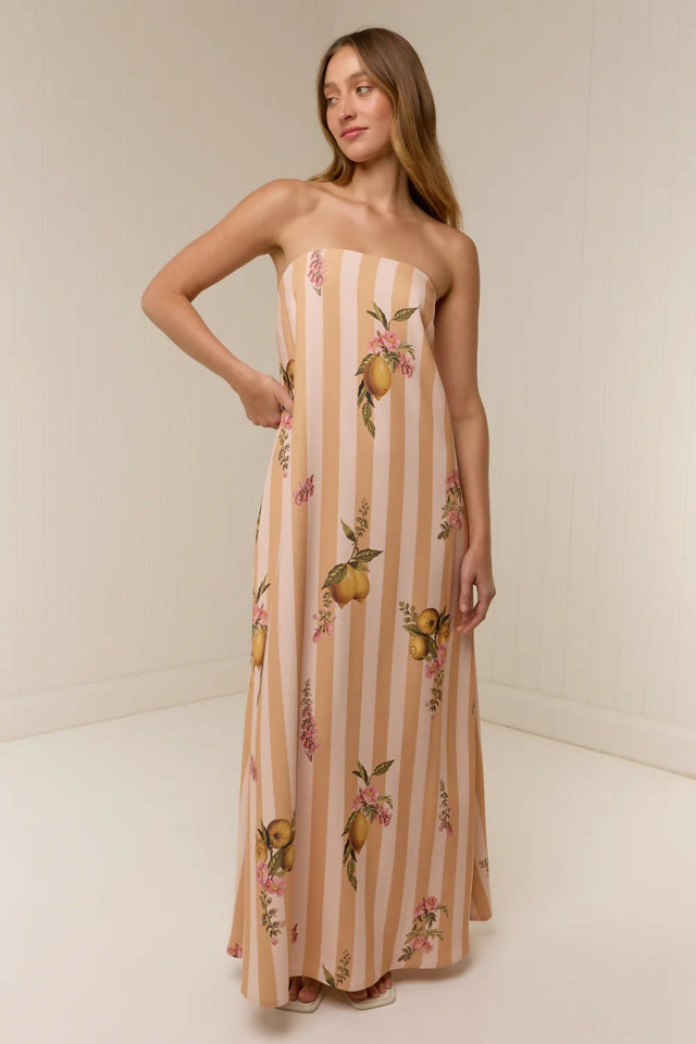 Palm Noosa Alessia Dress Citrus Stripe - 12 / Print - Dresses