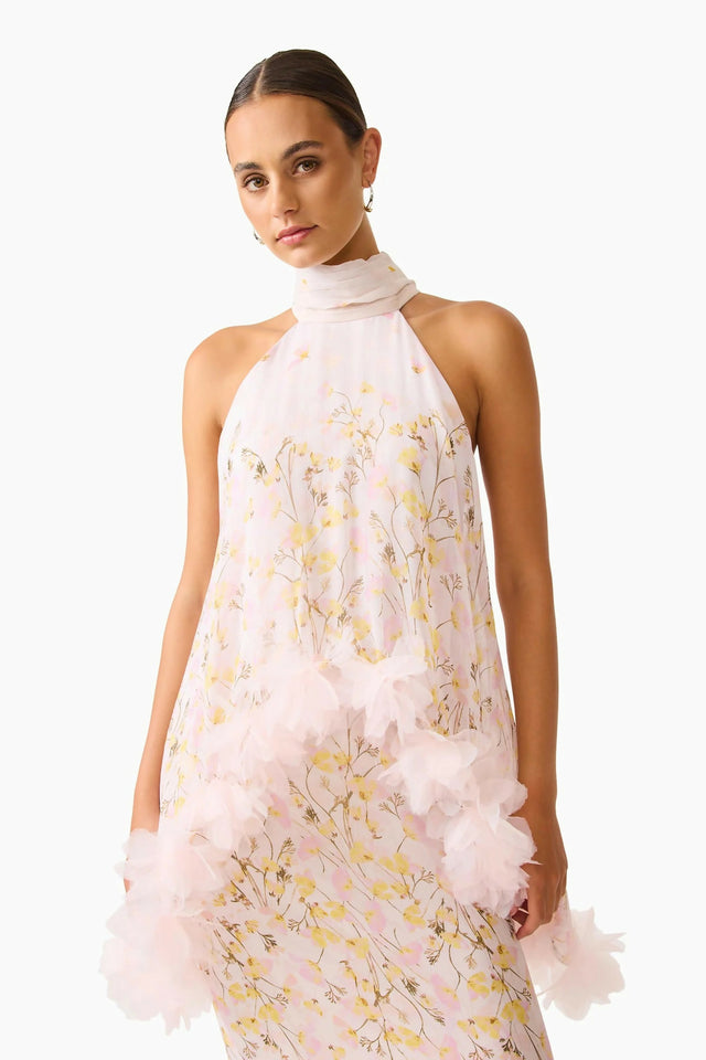 Elliatt Tulsia Floral Cape Maxi Dress in Pink