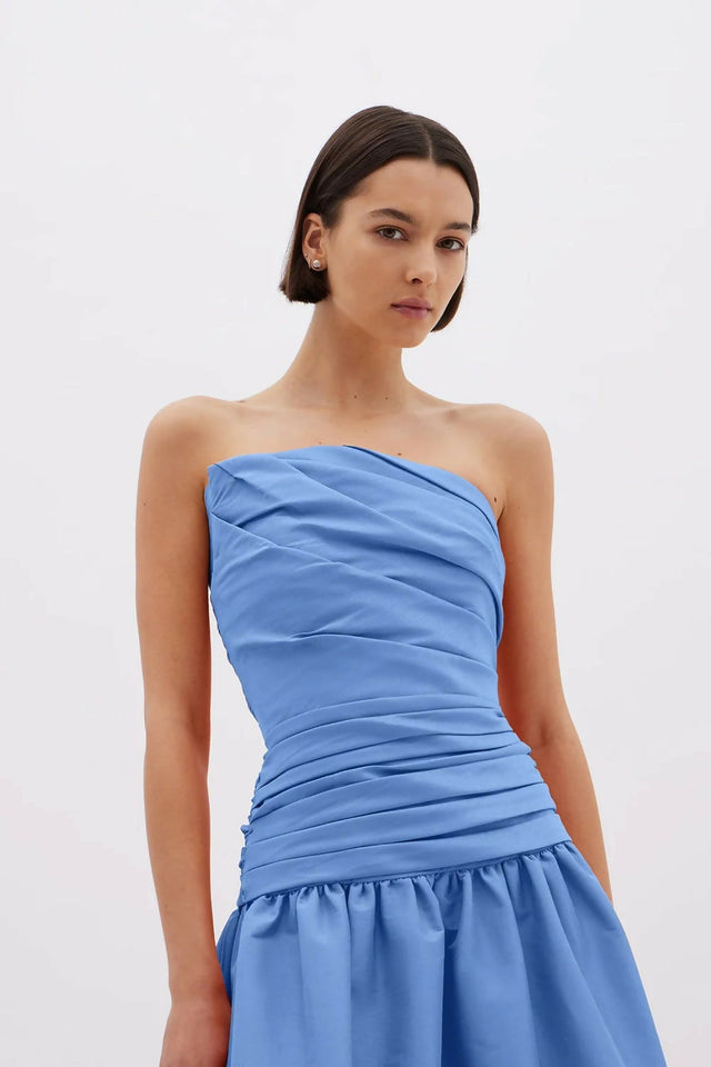 Rachel Gilbert Banks Dress in Cornflower Size AU 8 - 8 / Blue - Dresses
