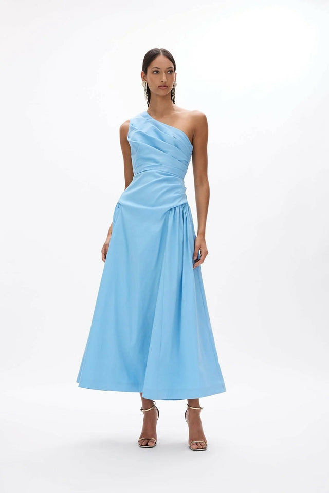 Rachel Gilbert Banksia Dress in Blue - Dresses