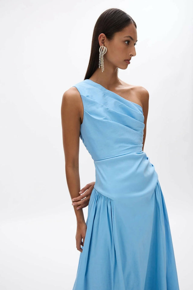 Rachel Gilbert Banksia Dress in Blue - Dresses