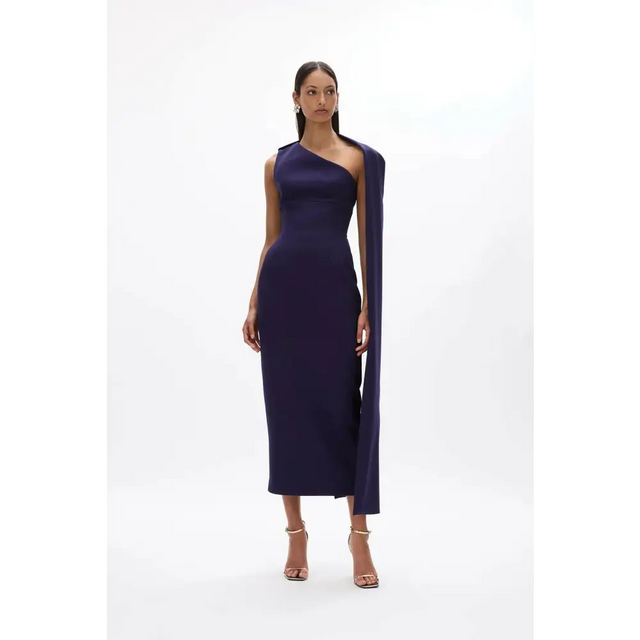 Rachel Gilbert Clara Gown Dress Dark Indigo Size 6 & 8 - Dresses