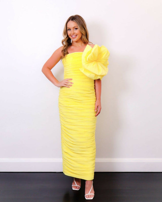 RachelGilbertEvanaDress