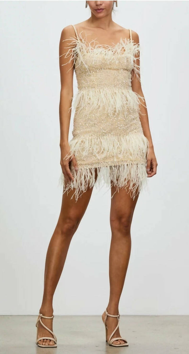 Rachel Gilbert Frenchy Mini Nude Size 3/AU12 - 12 / Nude - Dresses