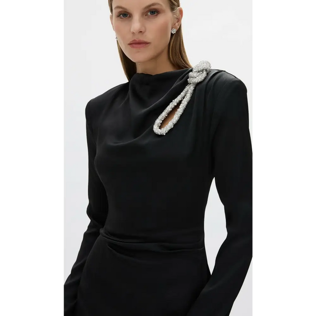 Rachel Gilbert Henrietta Dress Black Size 6 & 12 - Dresses