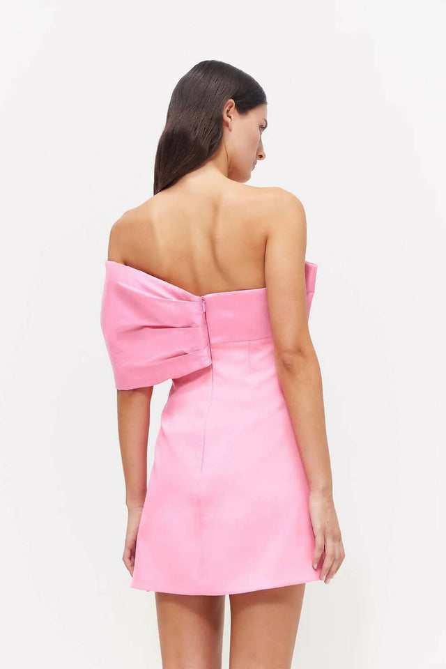 Rachel Gilbert Kace Mini Dress - 14 / Pink - Dresses