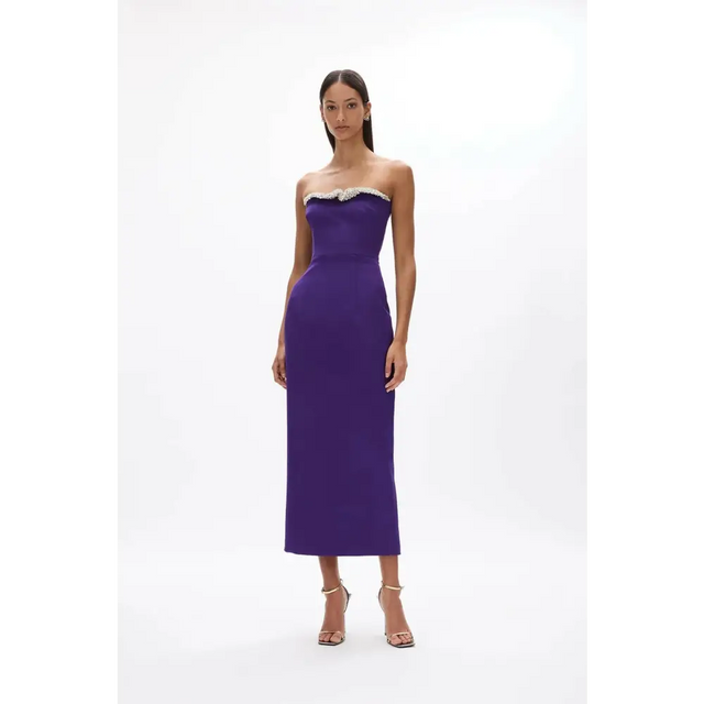 Rachel Gilbert Lorna Dress Purple Size 6 & 10 - 6 / Purple - Dresses